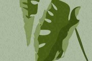 蘑菇影视在线观看运营秘籍：版权逻辑暴击
