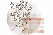 创作马拉松！蘑菇影视官网品牌联名必读