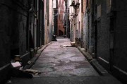 蘑菇视频幕后故事·爆款公式完全指南